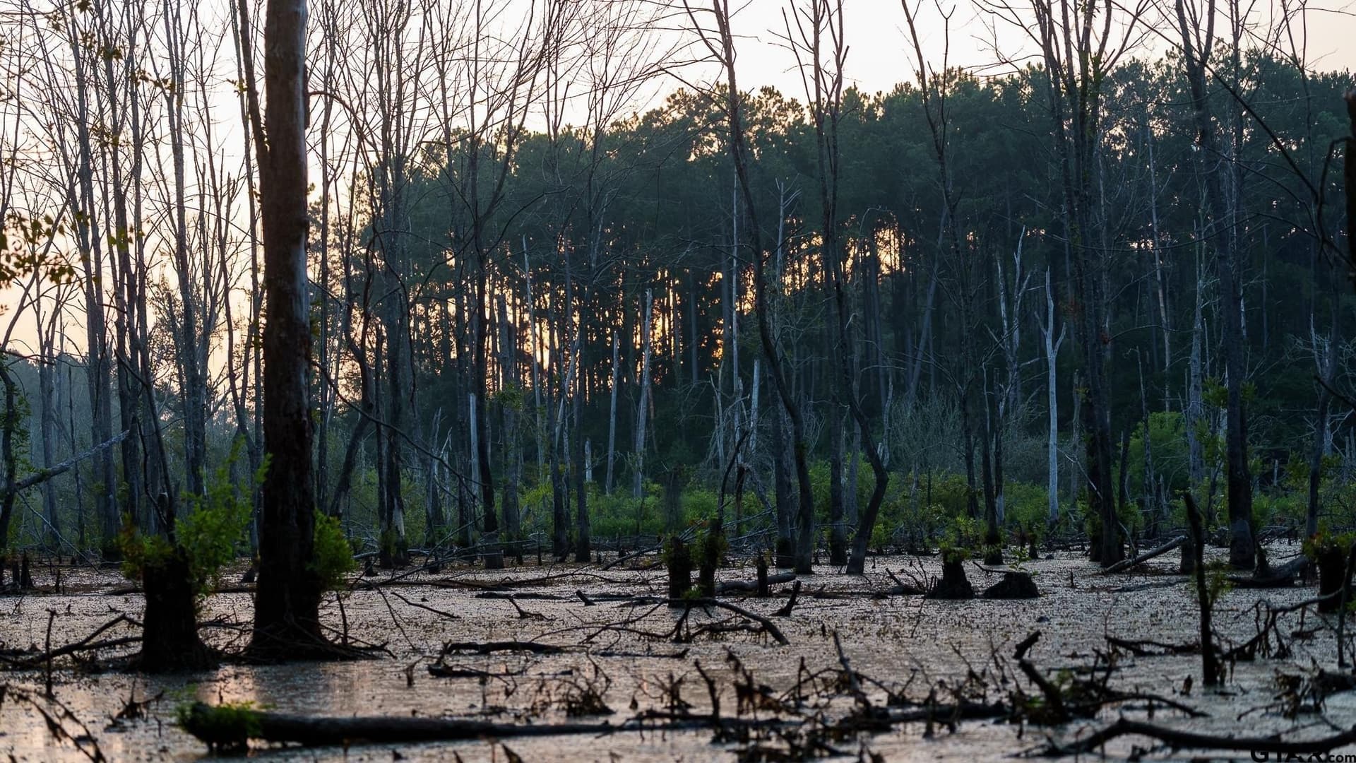 327.55 acres in Rusk County - photo 14