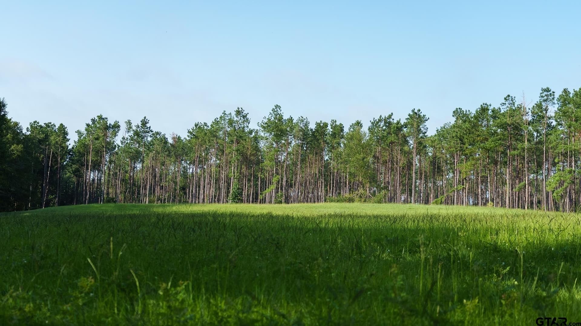 327.55 acres in Rusk County - photo 26