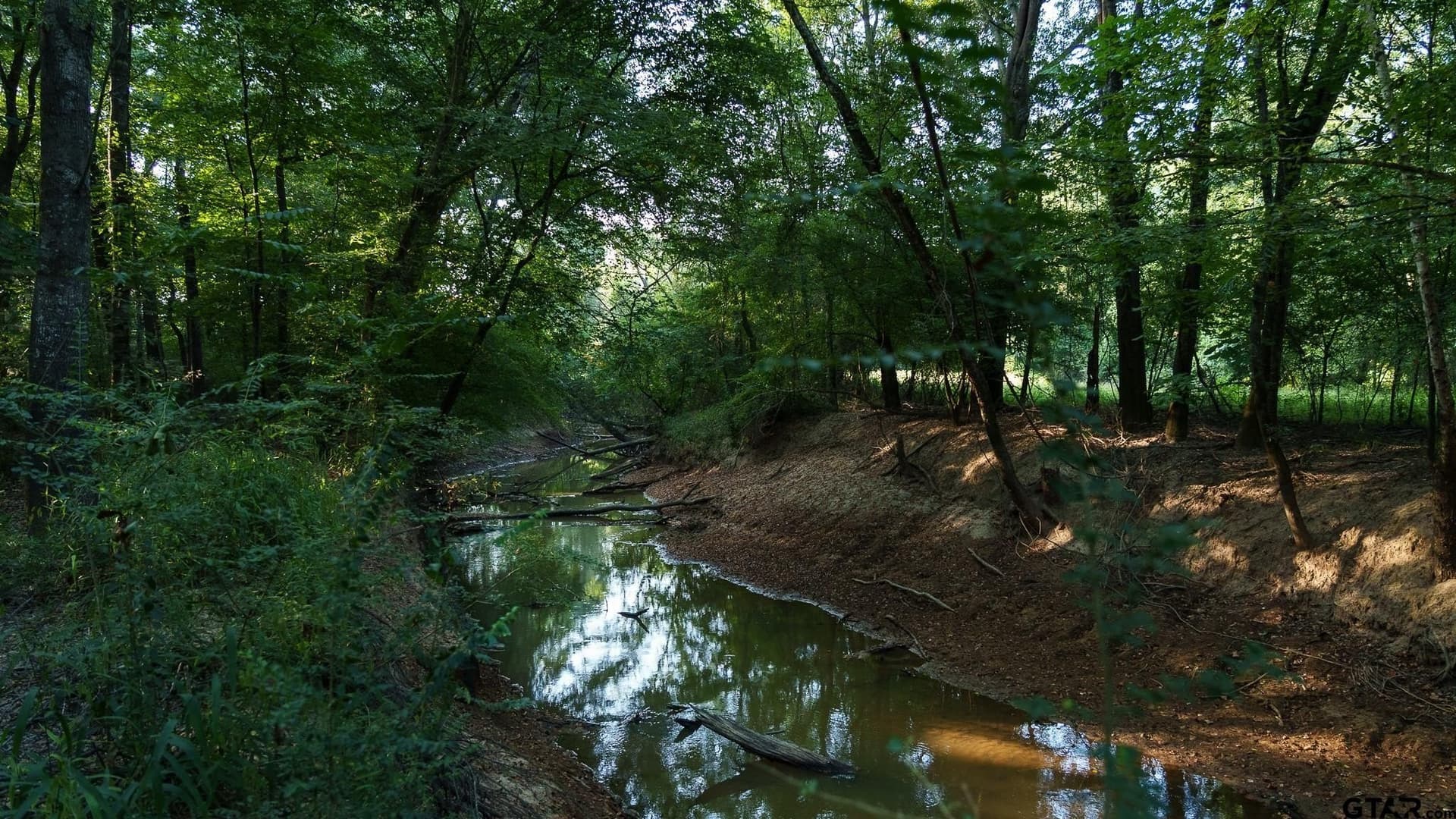 327.55 acres in Rusk County - photo 23