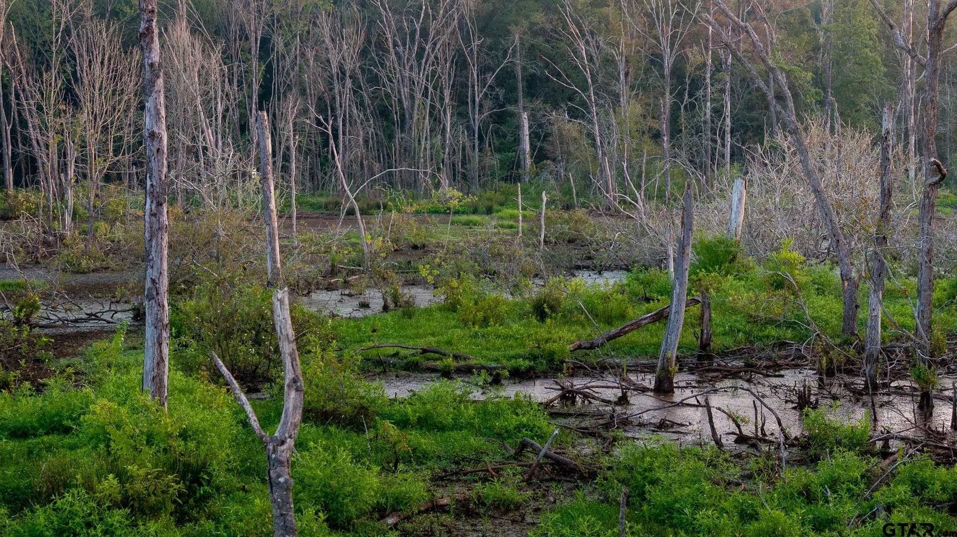 327.55 acres in Rusk County - photo 37