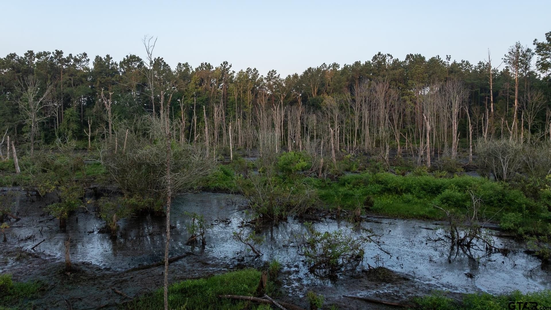 327.55 acres in Rusk County - photo 35