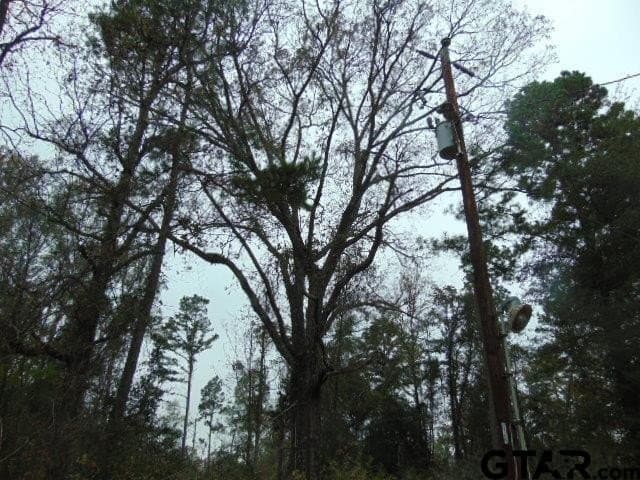 18.85 acres in Cherokee County - photo 23