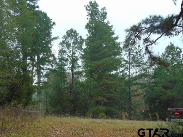 18.85 acres in Cherokee County - photo 22