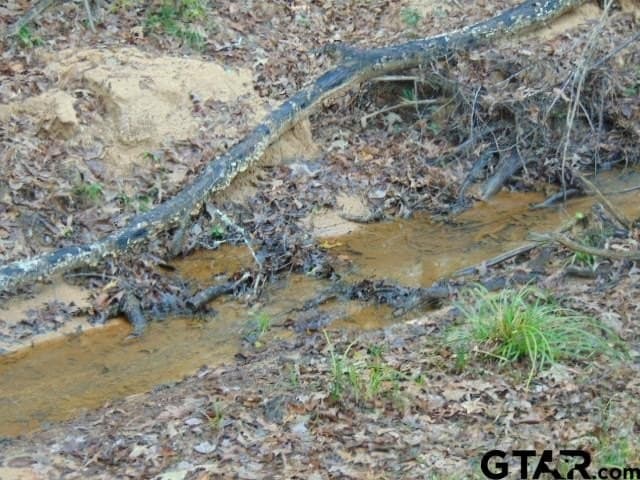18.85 acres in Cherokee County - photo 30