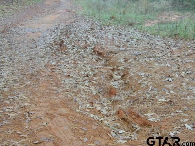 18.85 acres in Cherokee County - photo 29