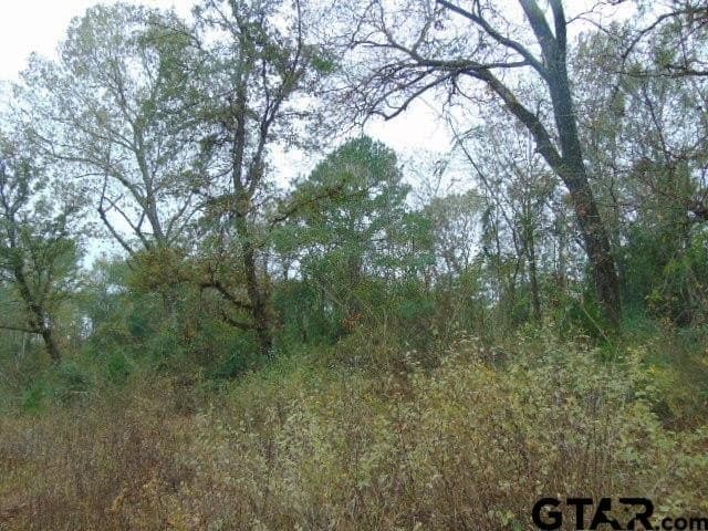 18.85 acres in Cherokee County - photo 20