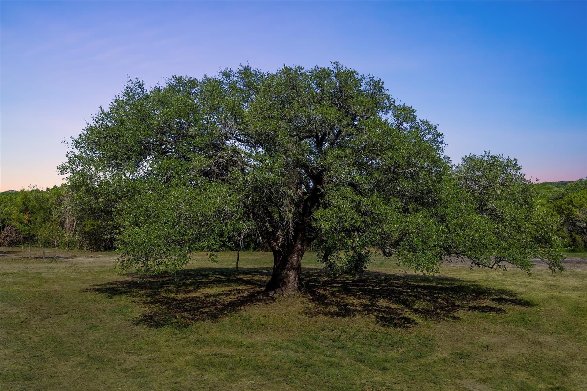 24.98 acres in McLennan County - photo 16