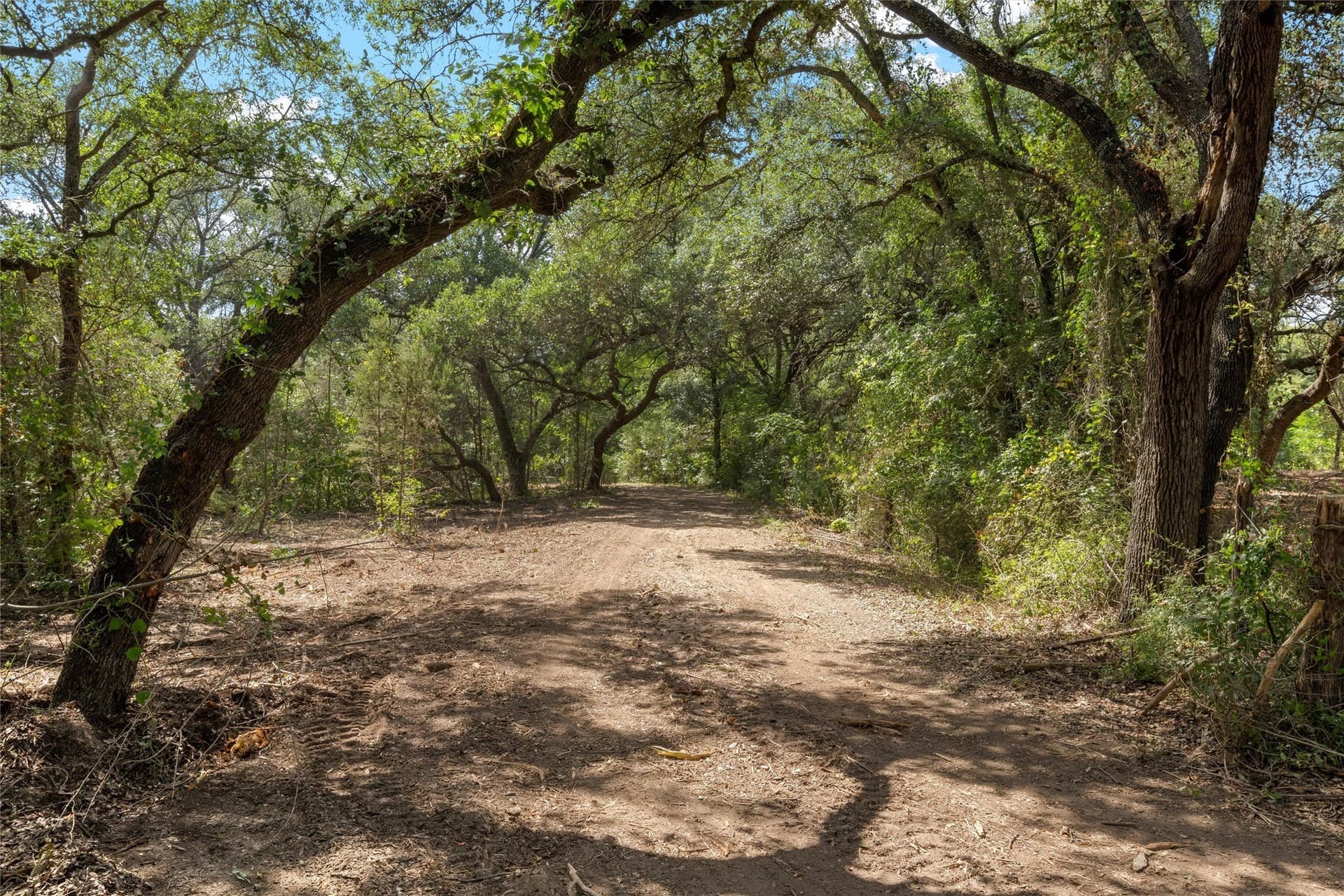 24.98 acres in McLennan County - photo 14
