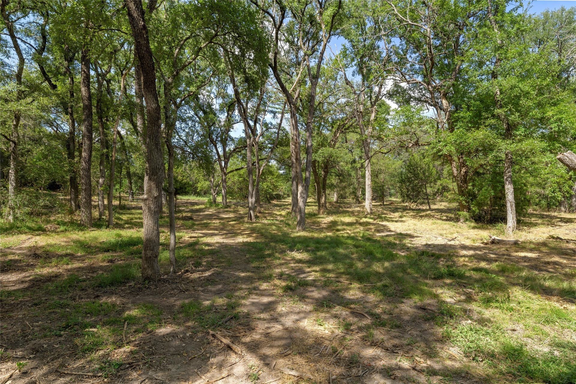 24.98 acres in McLennan County - photo 13