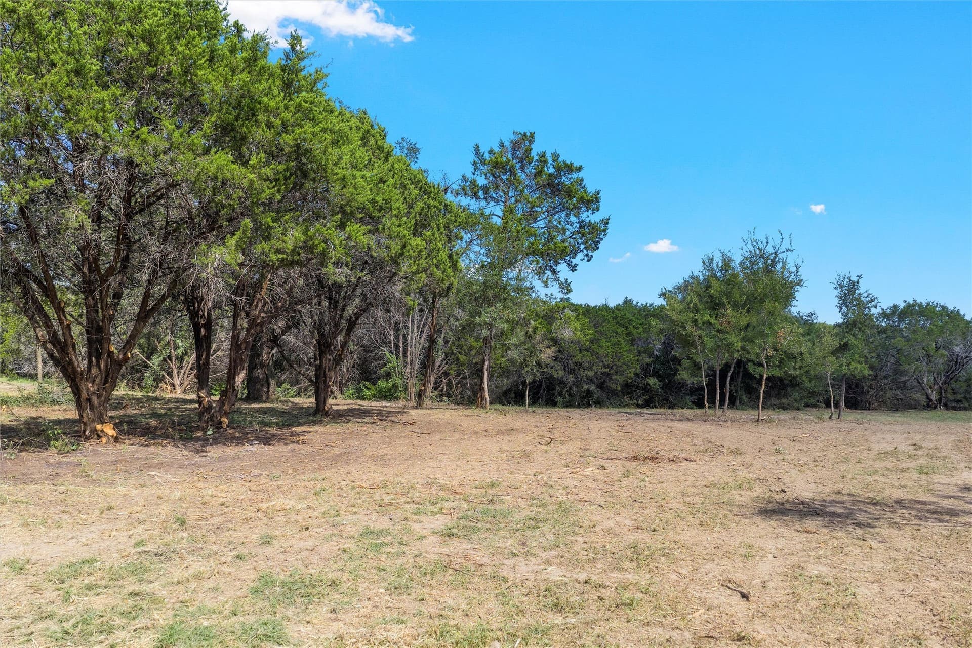 24.98 acres in McLennan County - photo 6