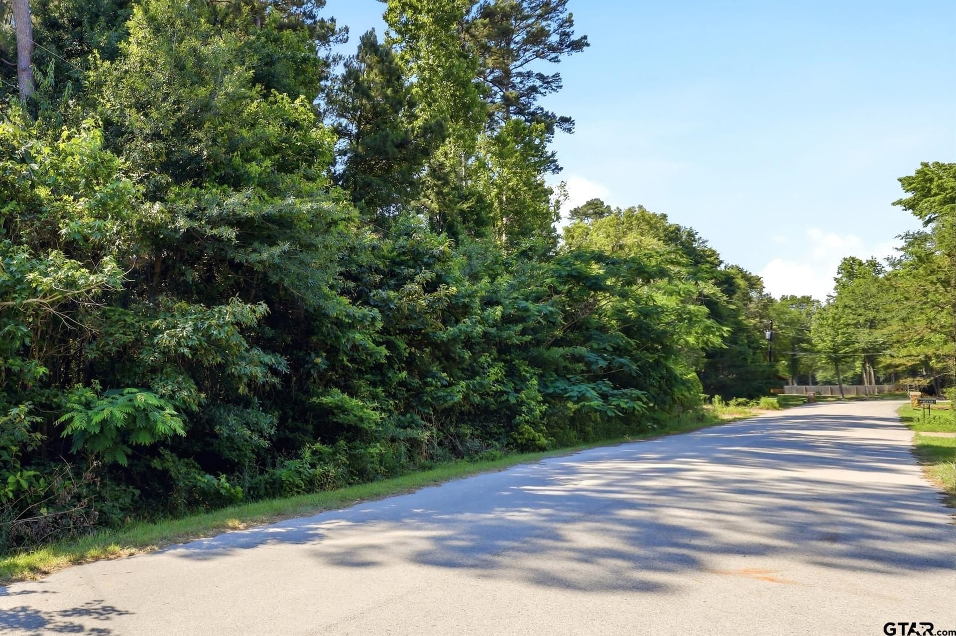 0.35 acres in Smith County gallery image 2