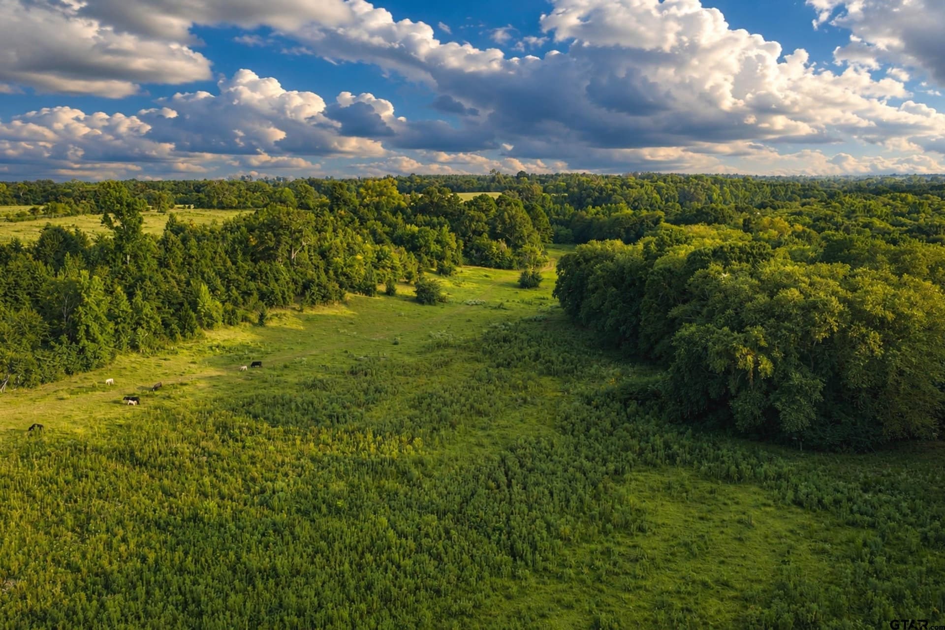 137 acres in Smith County - photo 34