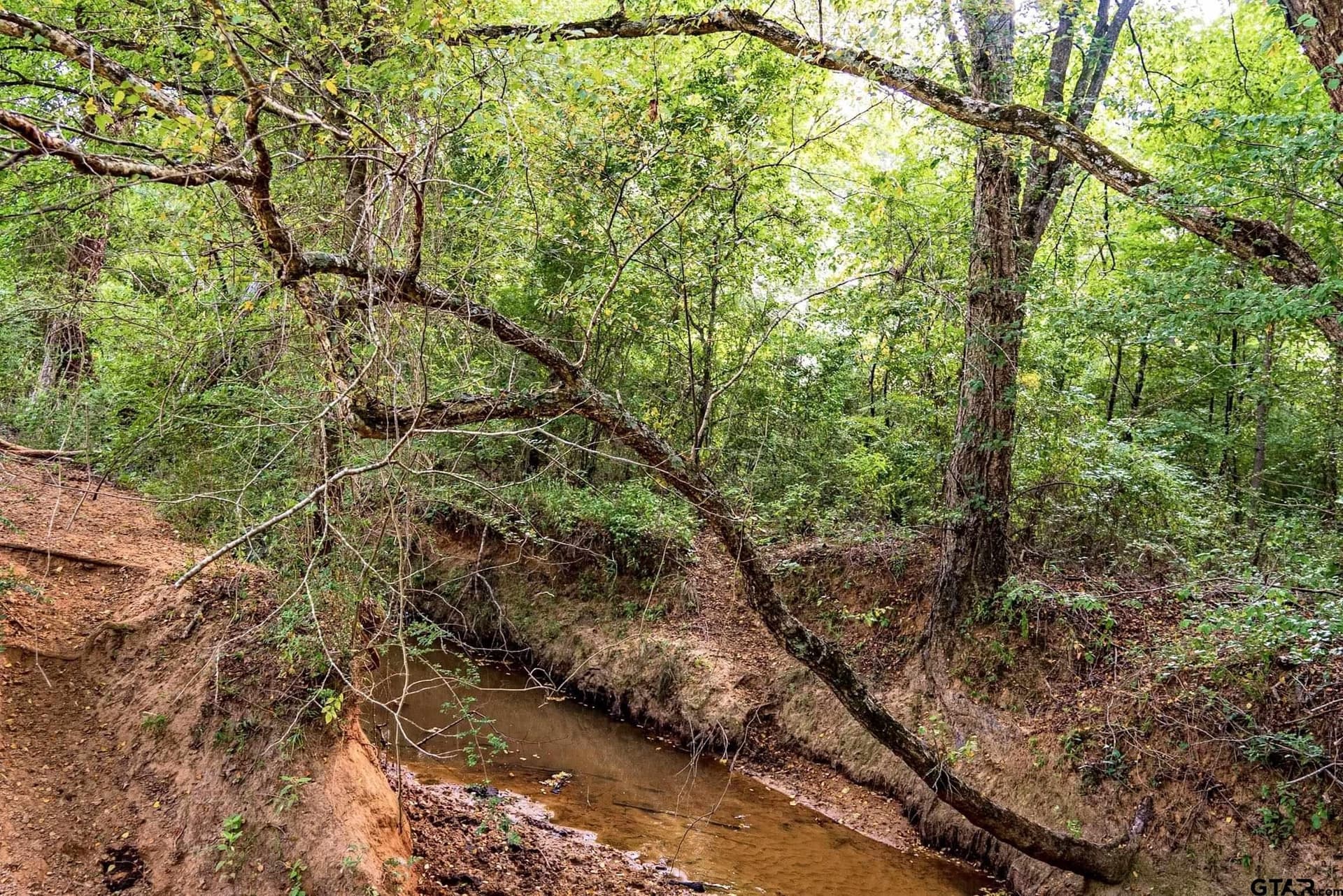 137 acres in Smith County - photo 10
