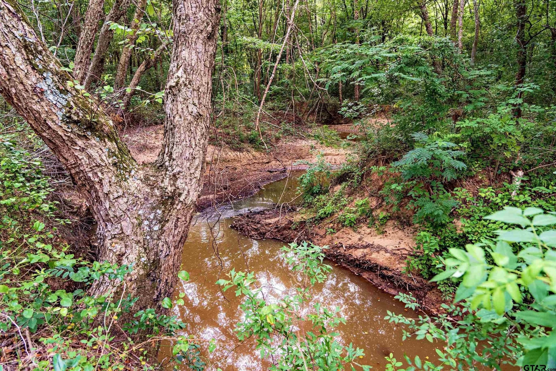 137 acres in Smith County - photo 5