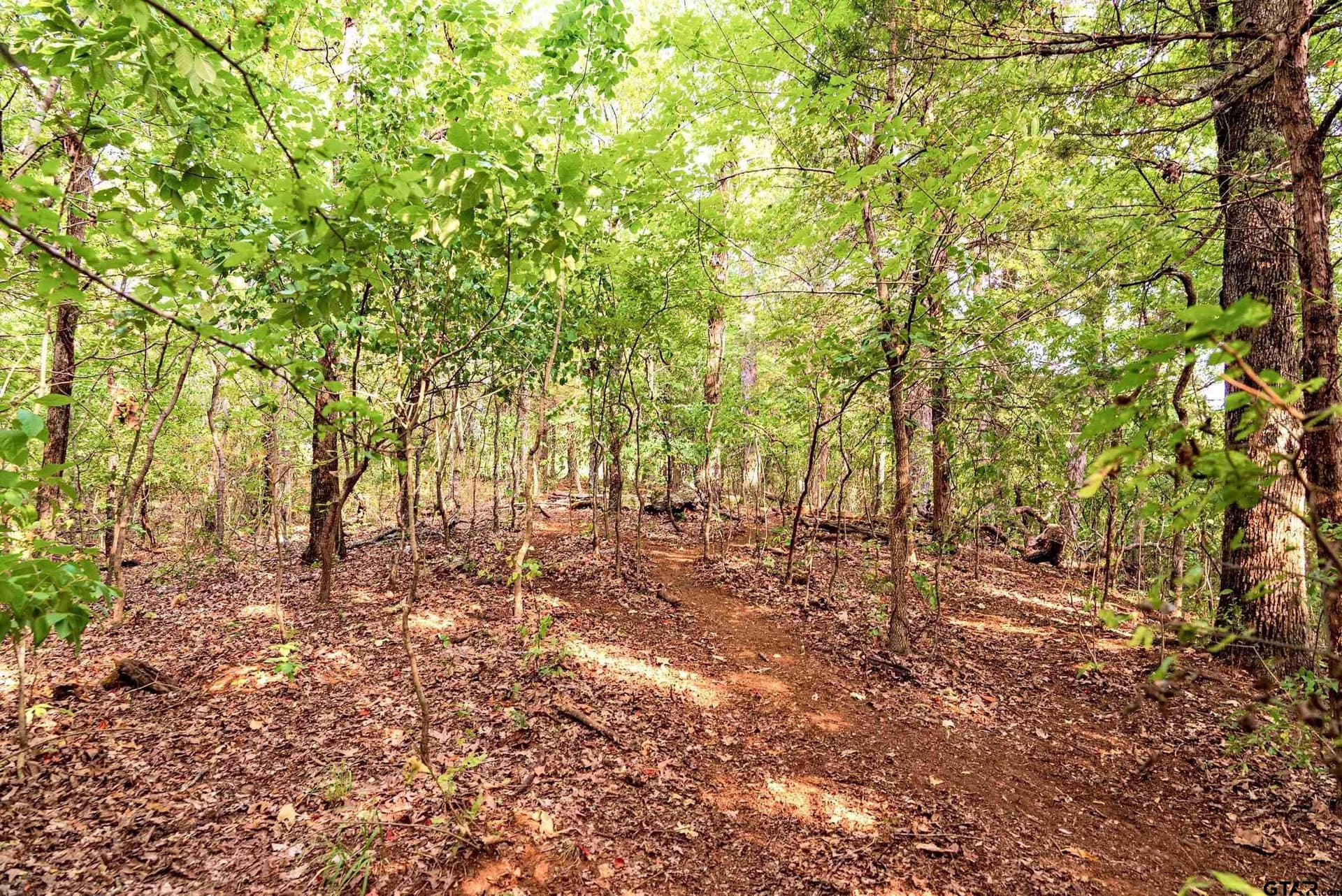 137 acres in Smith County - photo 35