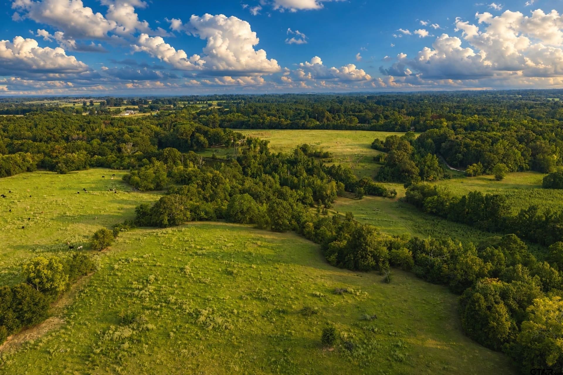 137 acres in Smith County - photo 14