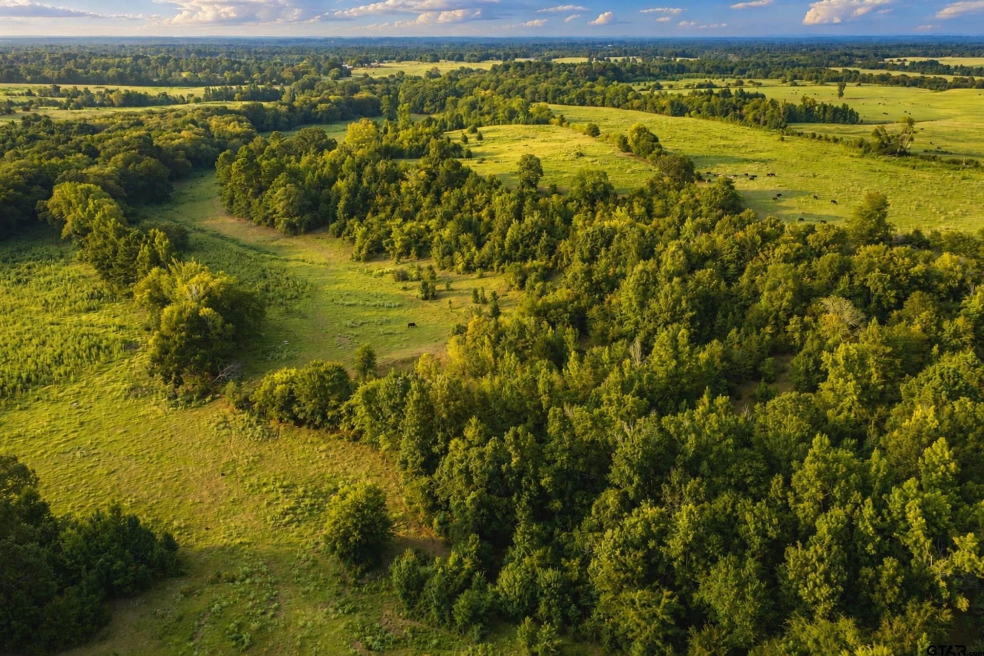 137 acres in Smith County - photo 4