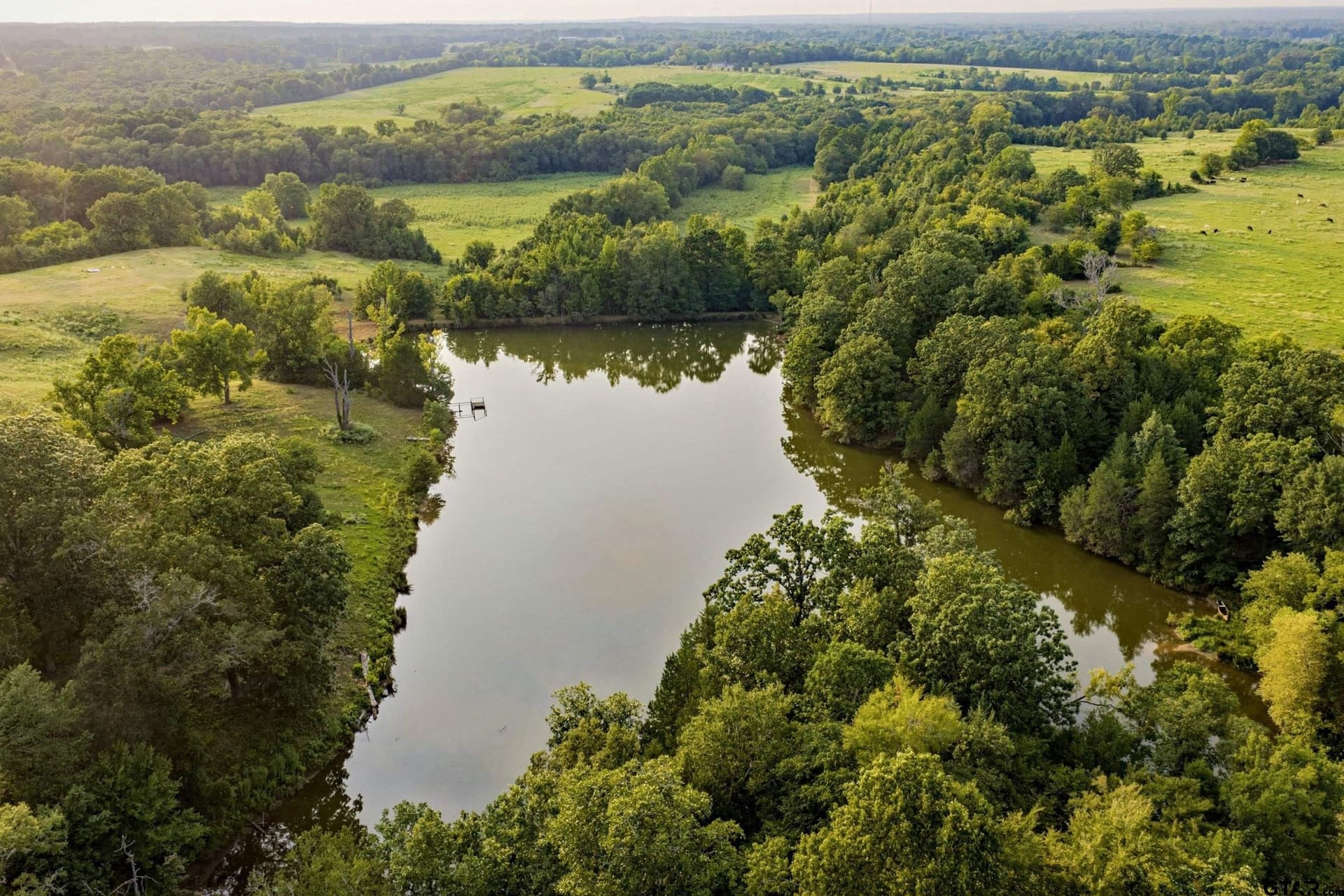 137 acres in Smith County - photo 6