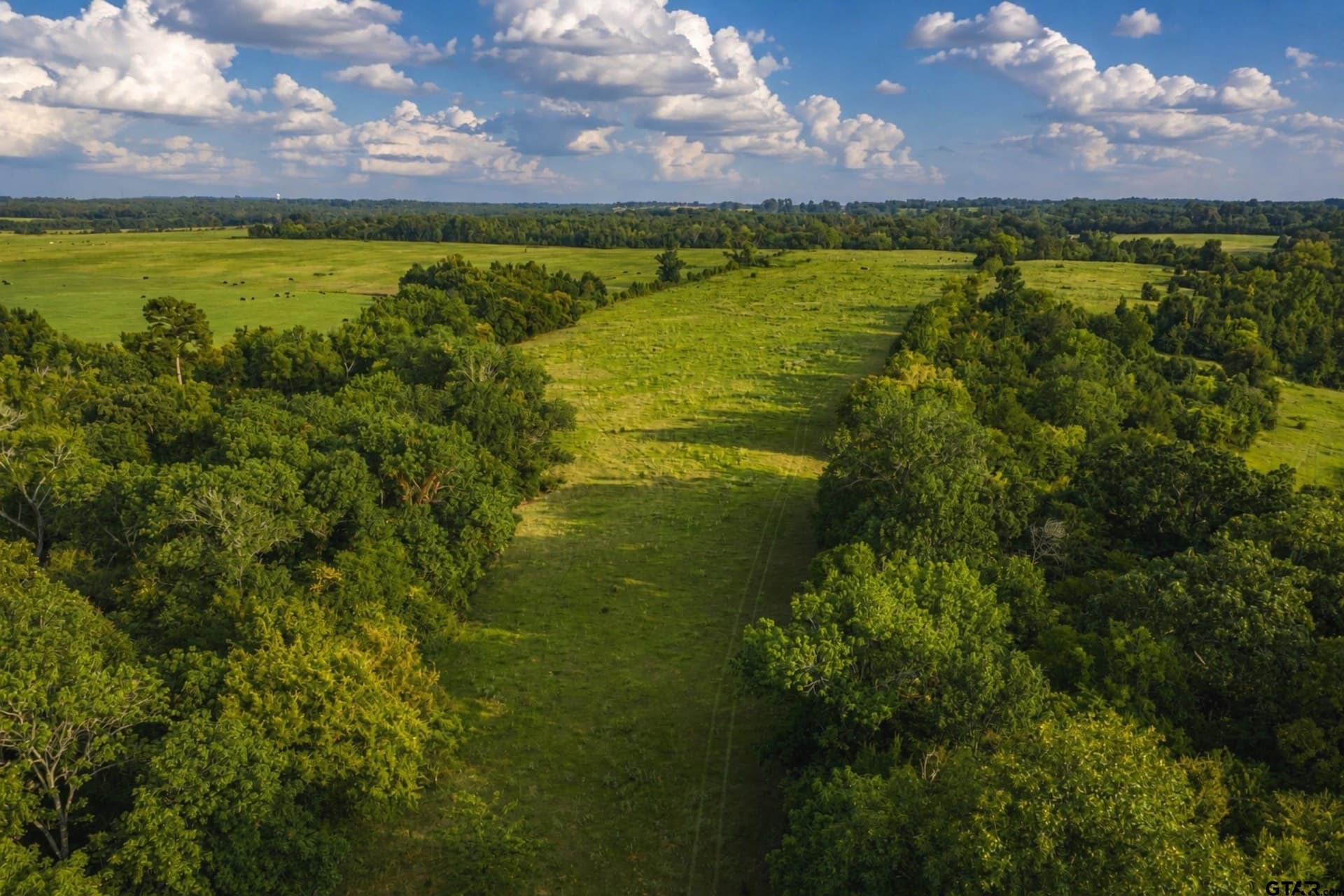 137 acres in Smith County - photo 13