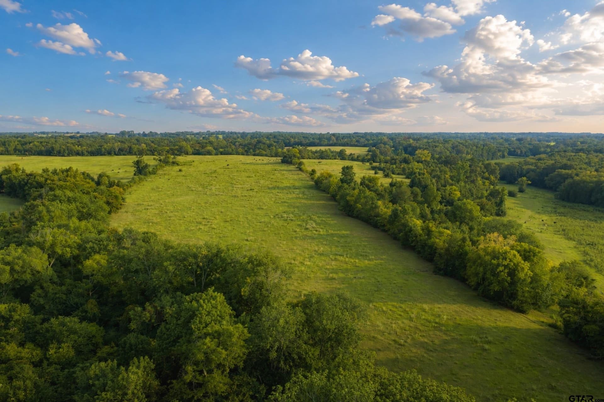137 acres in Smith County - photo 8