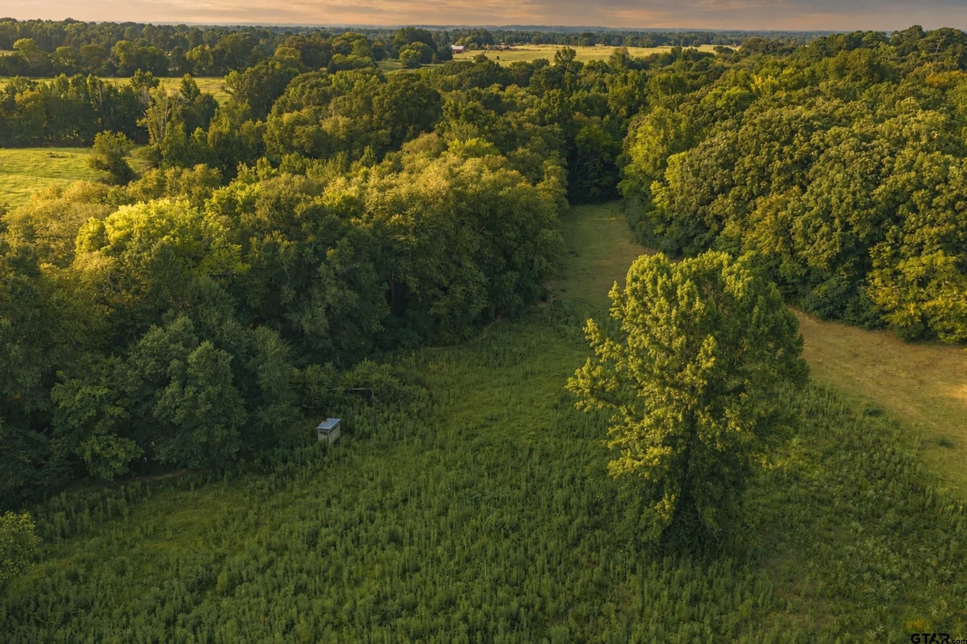 137 acres in Smith County - photo 12