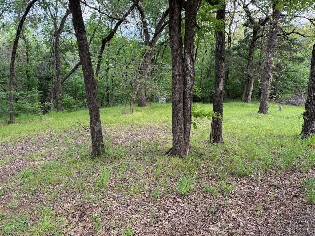 0.83 acres in Denton County gallery image 4