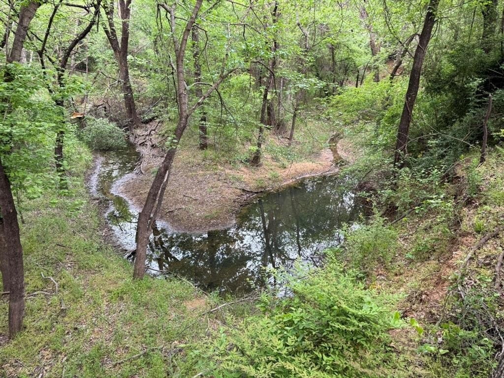 0.83 acres in Denton County gallery image 3