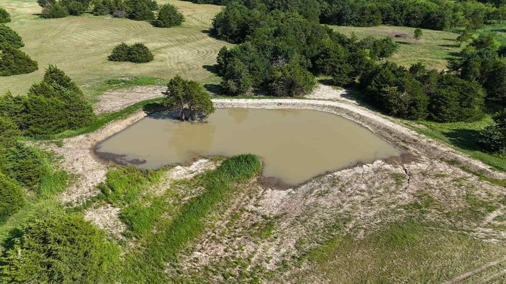 71 acres in Rains County gallery image 3