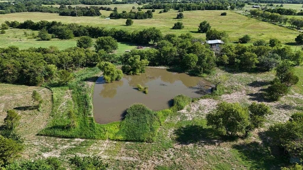 71 acres in Rains County gallery image 2