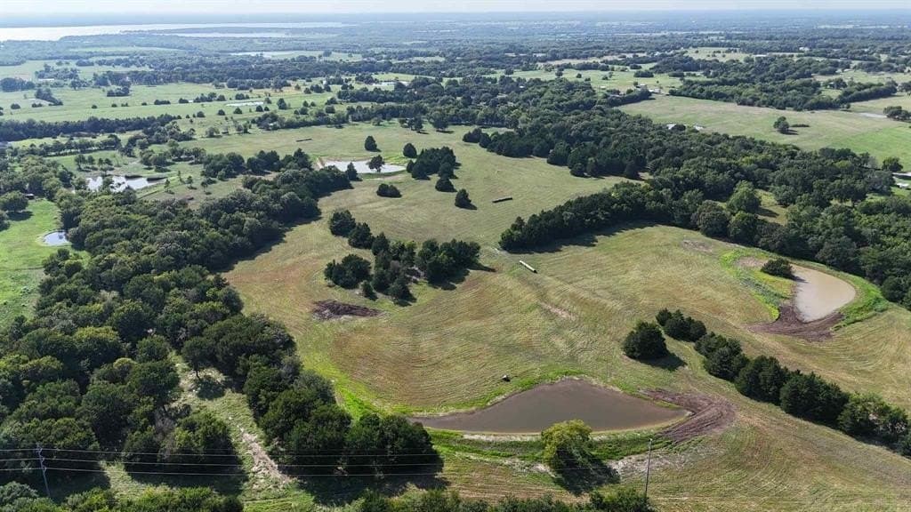 71 acres in Rains County gallery image 4