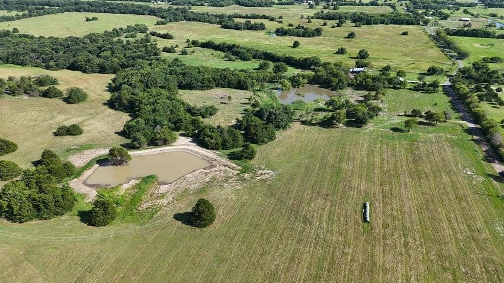 71 acres in Rains County
