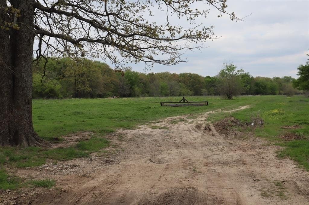 68.94 acres in Hopkins County gallery image 3