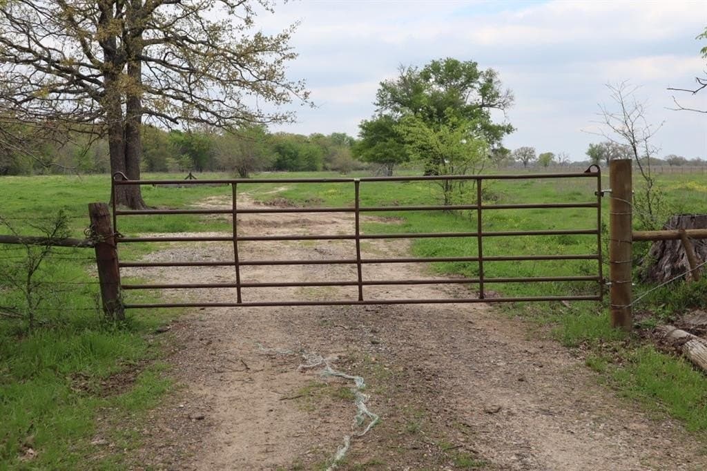 68.94 acres in Hopkins County gallery image 2