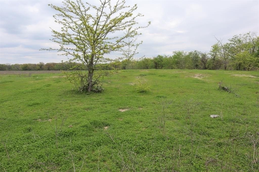 68.94 acres in Hopkins County featured view