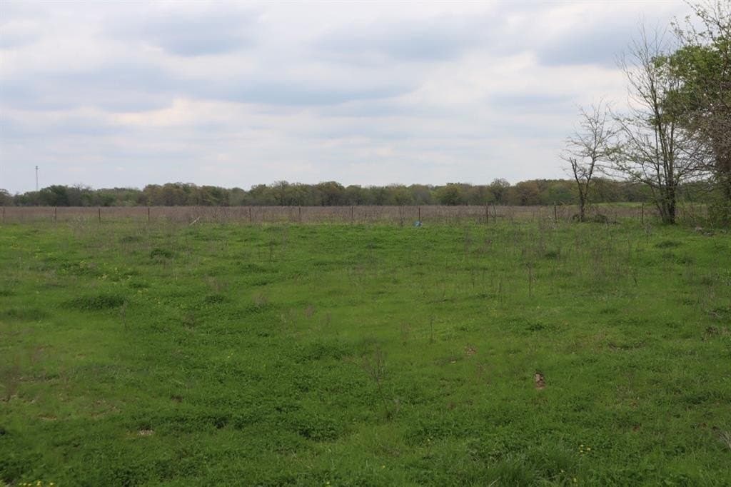 68.94 acres in Hopkins County gallery image 4