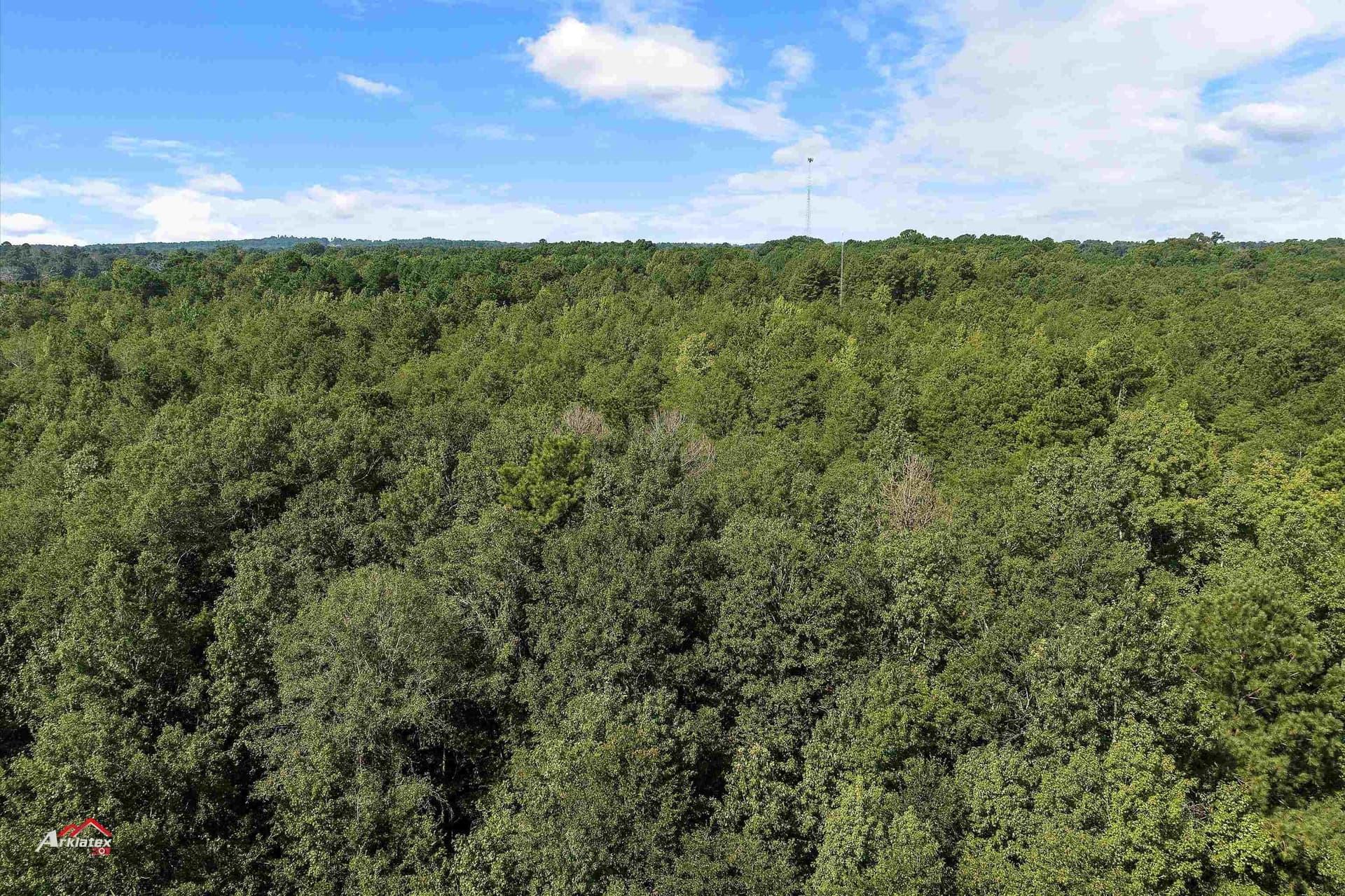 19.5 acres in Harrison County gallery image 2