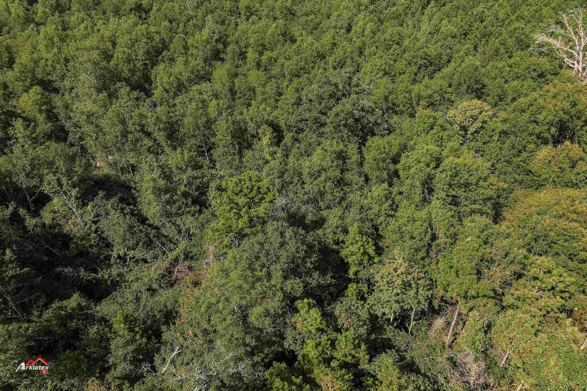 19.5 acres in Harrison County - photo 7