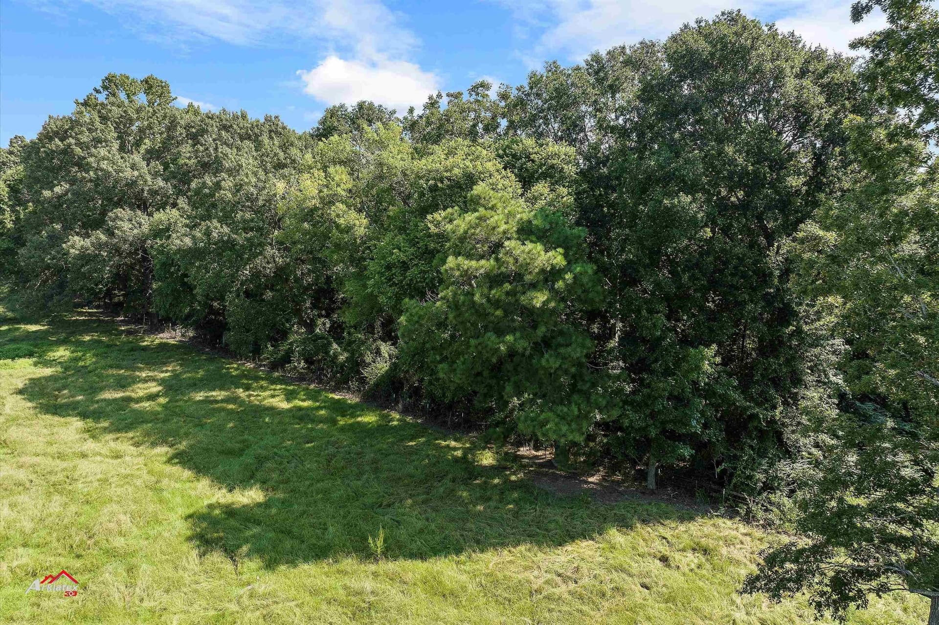 19.5 acres in Harrison County - photo 8