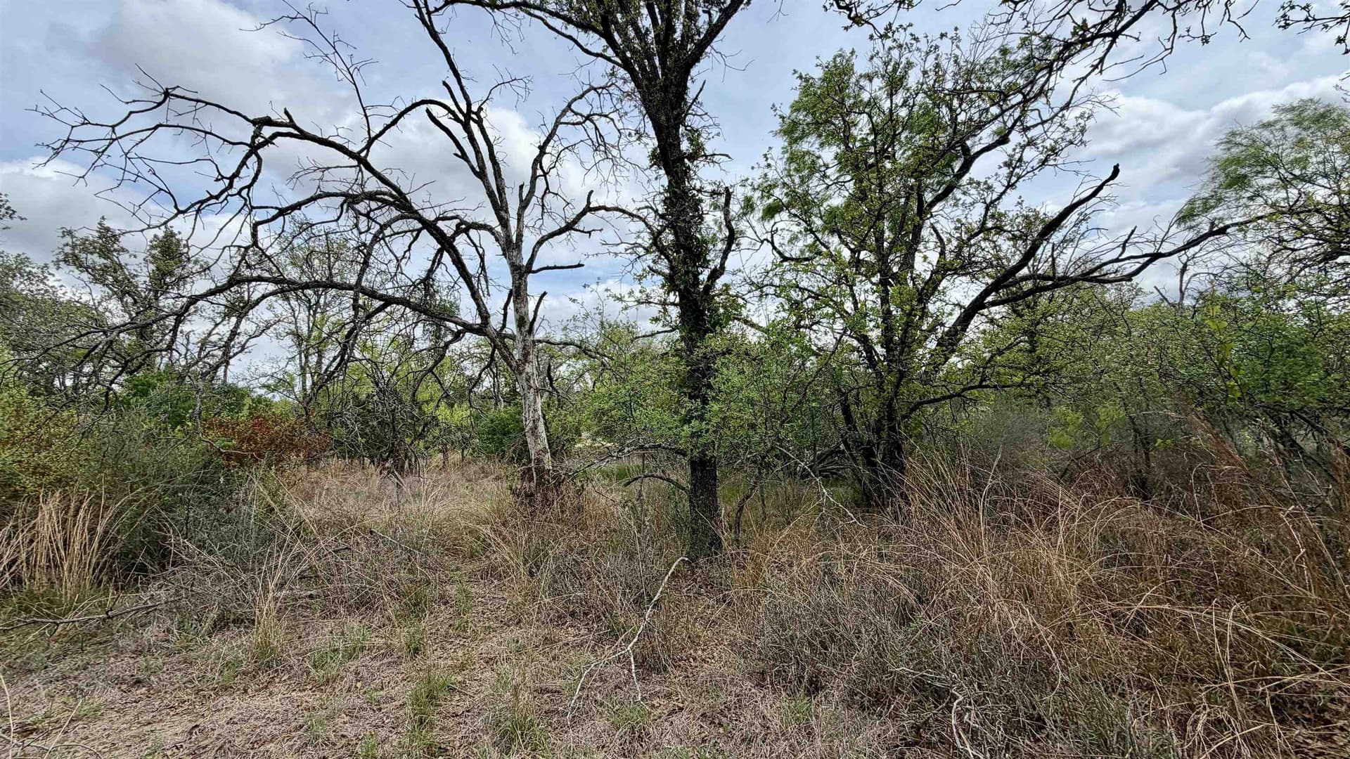 0.28 acres in Llano County - photo 13