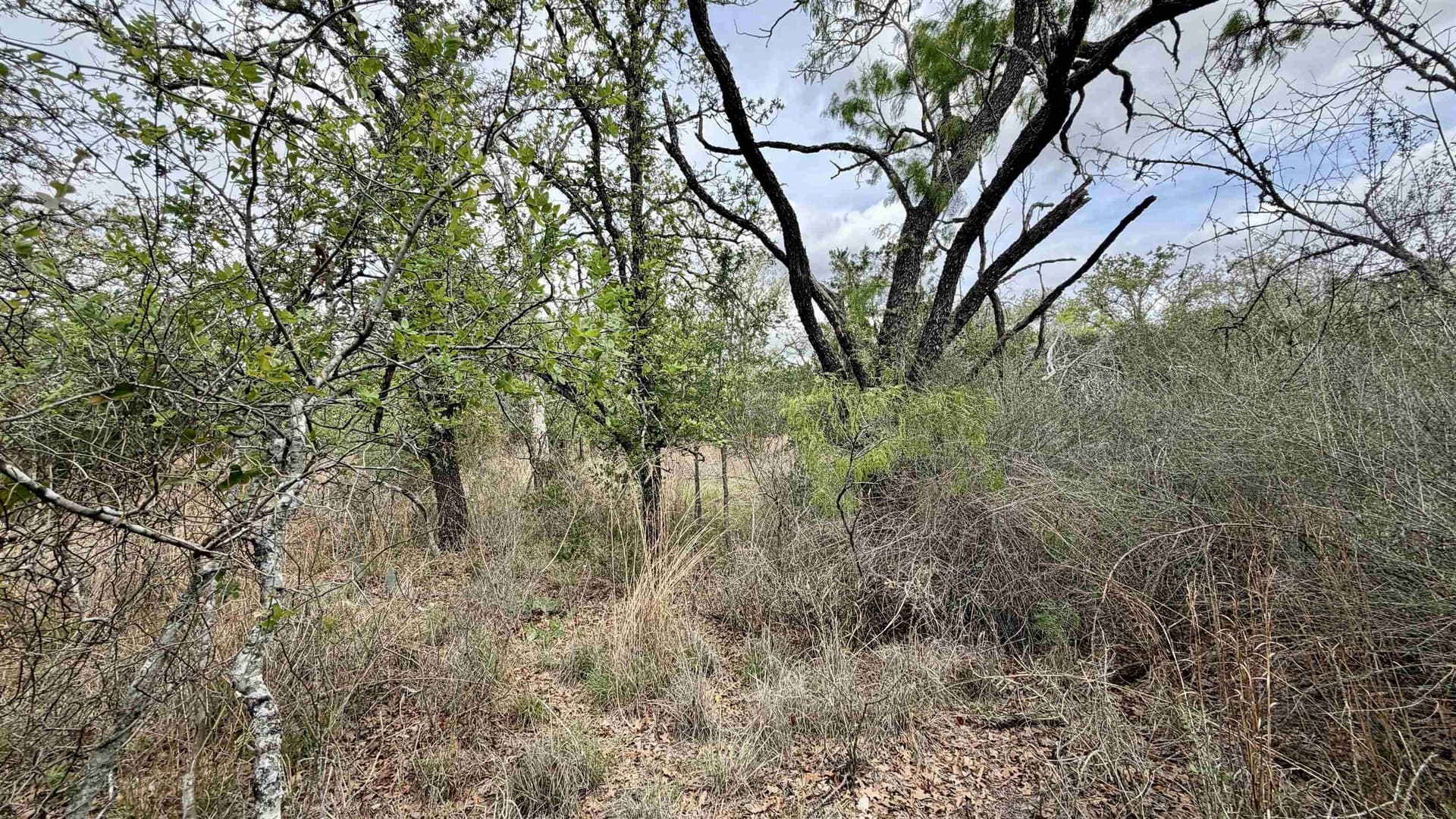 0.28 acres in Llano County - photo 11