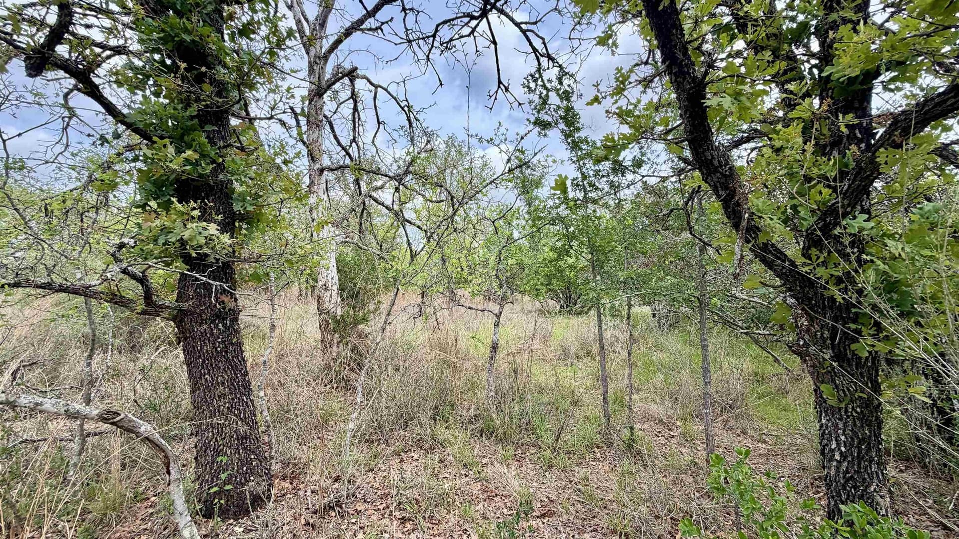 0.28 acres in Llano County - photo 12