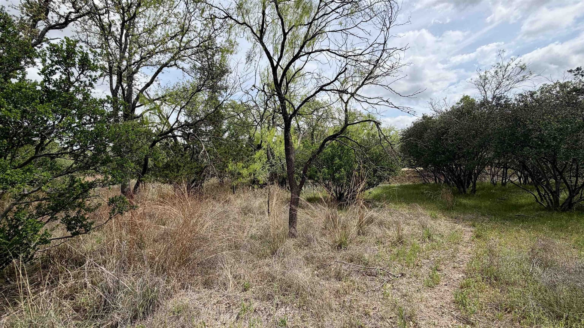 0.28 acres in Llano County gallery image 2