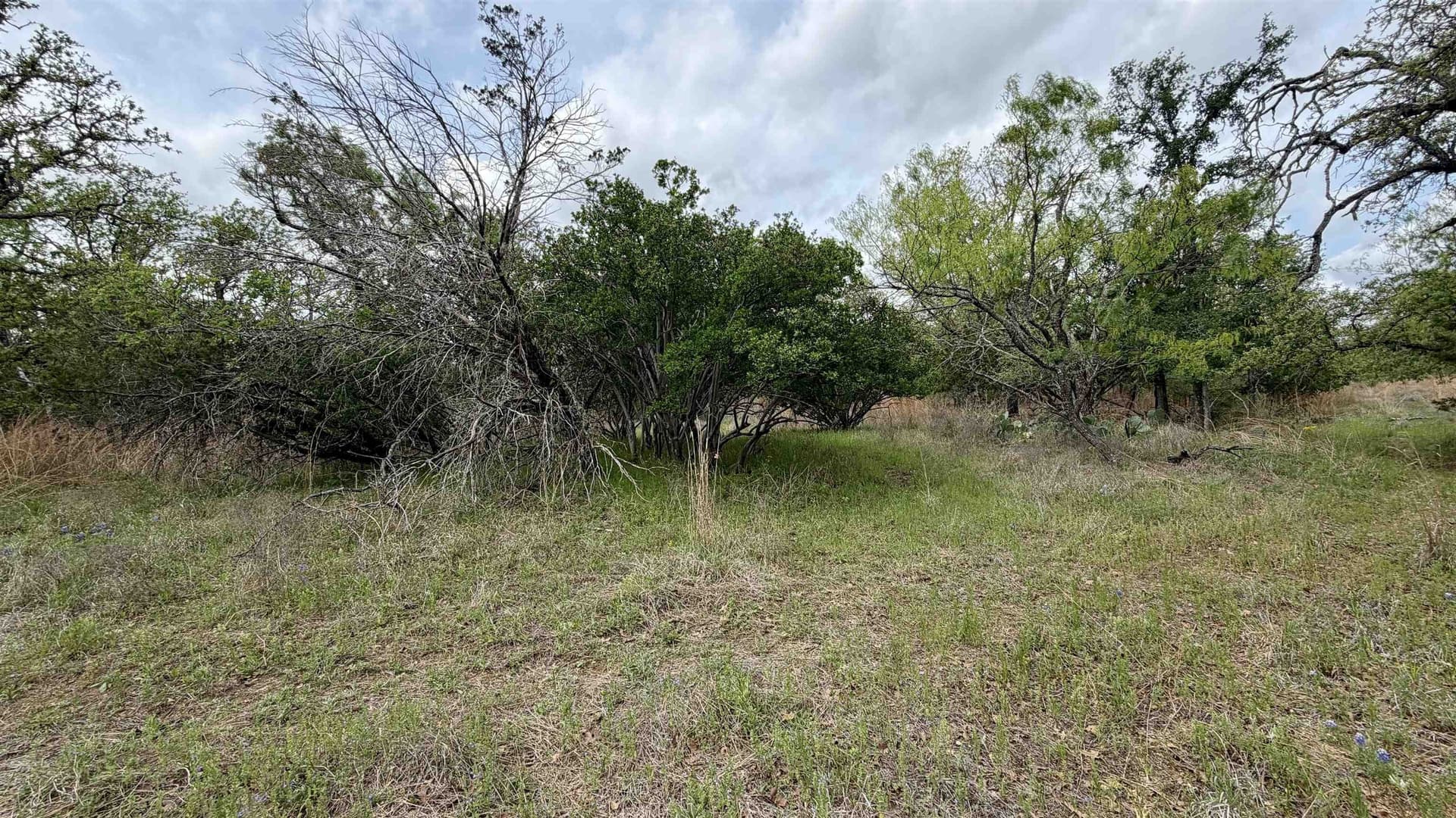 0.28 acres in Llano County - photo 10
