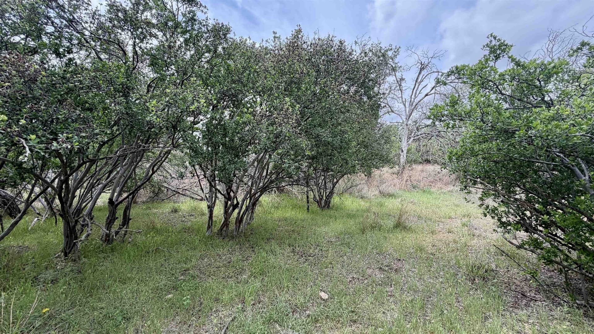 0.28 acres in Llano County featured view