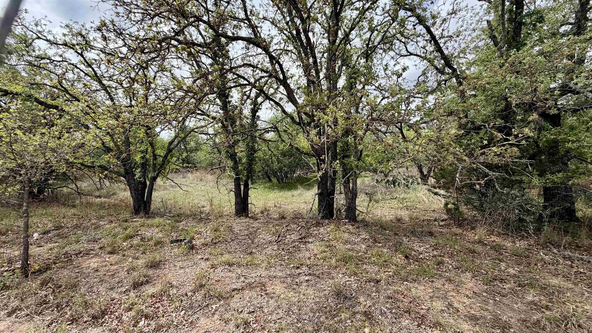 0.28 acres in Llano County - photo 6
