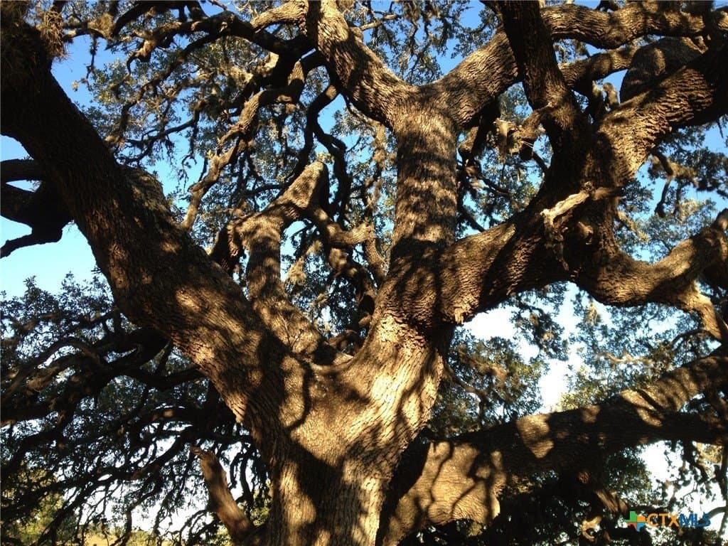 6.29 acres in Blanco County featured view