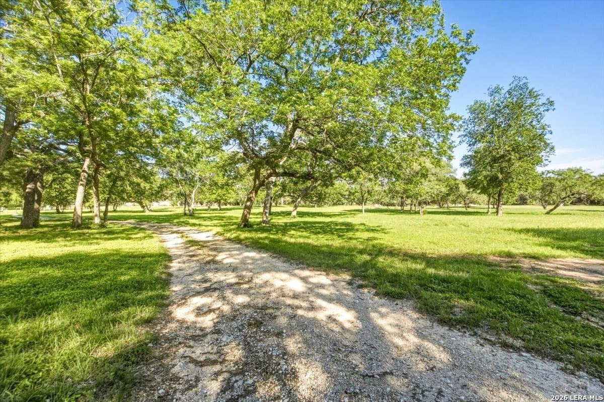 24.03 acres in Hays County gallery image 3