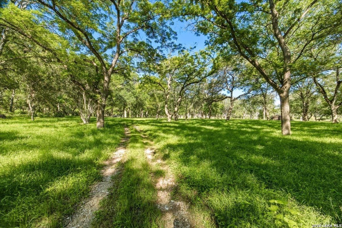 24.03 acres in Hays County - photo 31