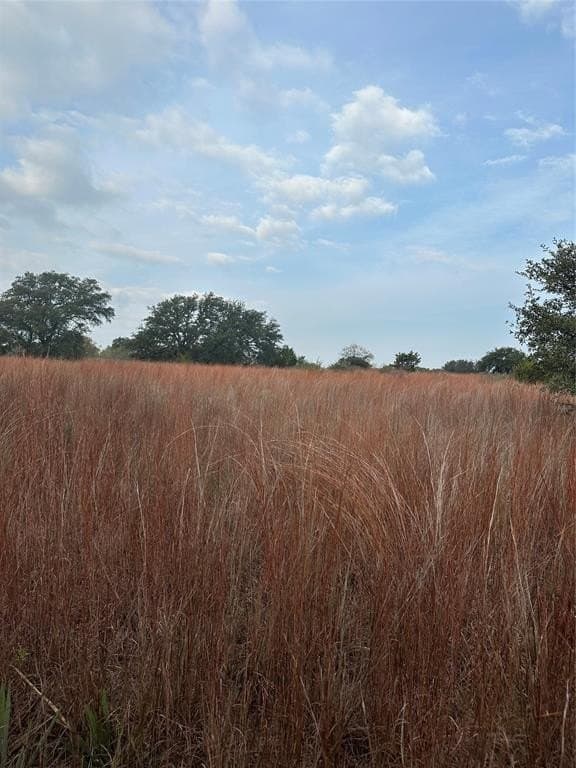 10.7 acres in Mills County featured view