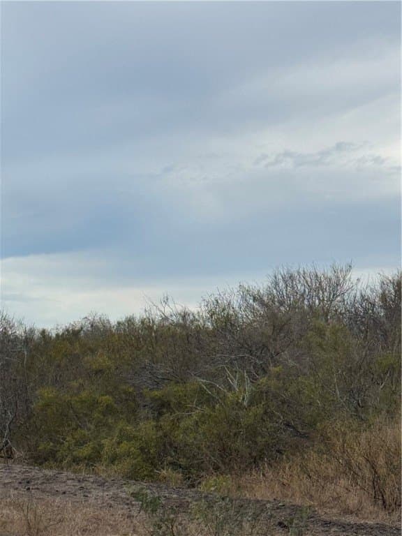 9.02 acres in San Patricio County gallery image 2
